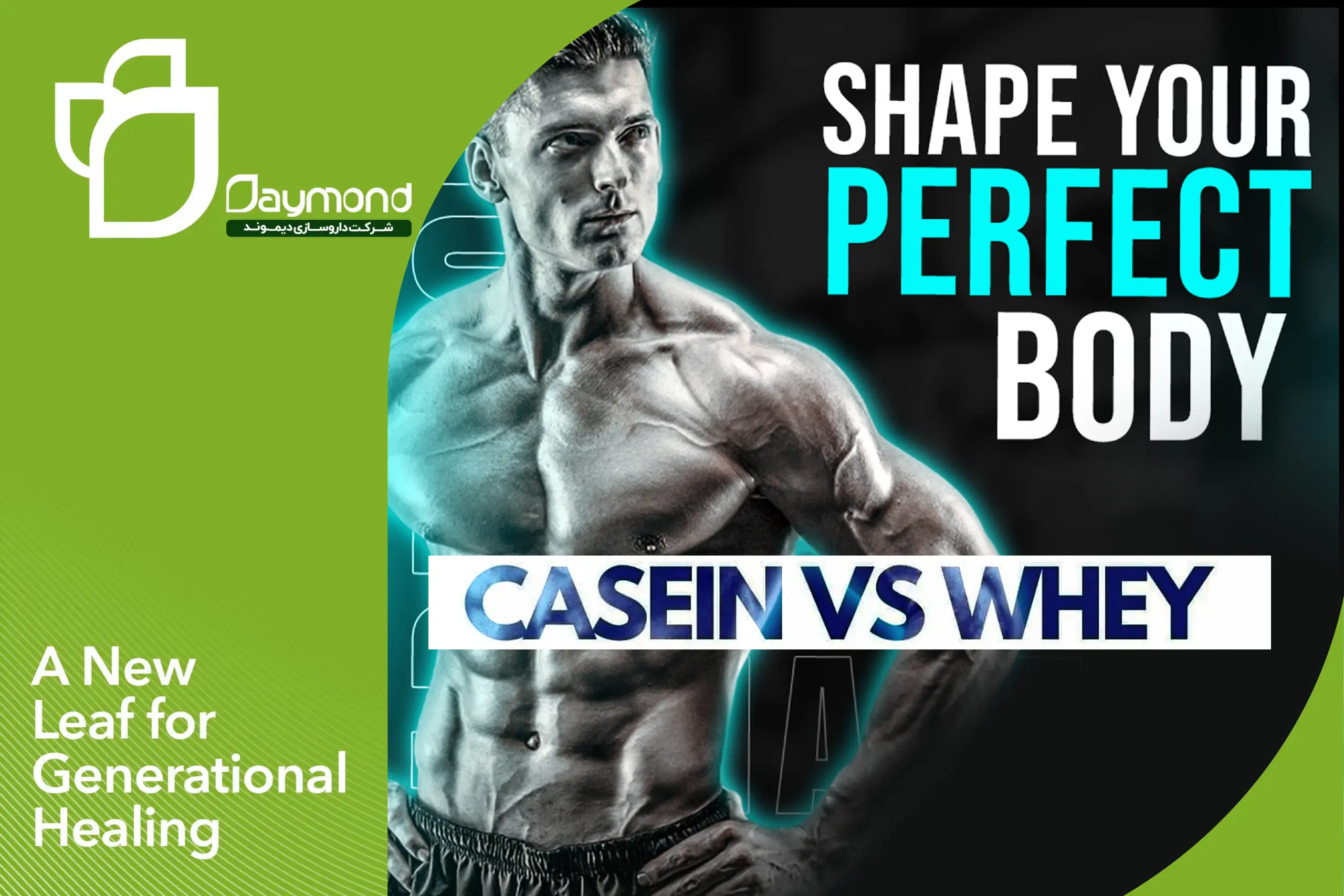 پروتئین وی و پروتئین کازئین