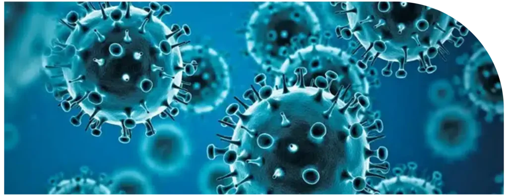 آنفولانزای تیغی